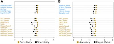 Which Is the Best In Silico Program for the Missense Variations in IDUA Gene? A Comparison of 33 Programs Plus a Conservation Score and Evaluation of 586 Missense Variants